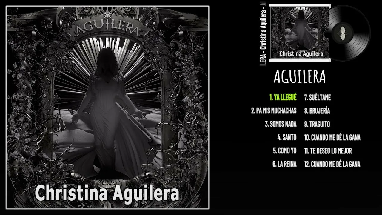 Las mejores ofertas en Discos de vinilo LP de Christina Aguilera