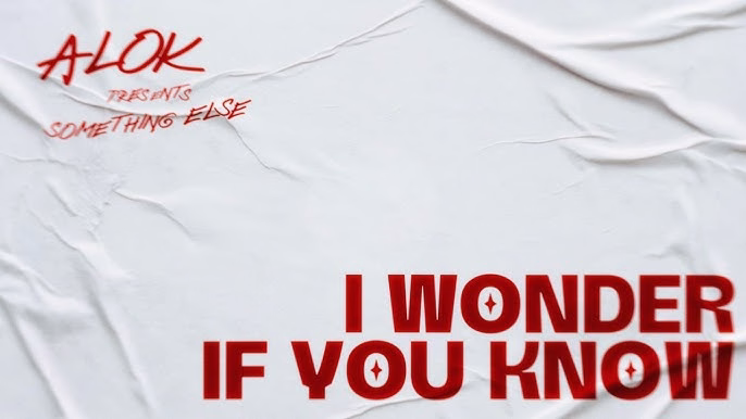 Alok estrena el tema que tenia oculto “I Wonder If You Know”